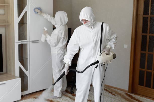 Best Local Mold Removal Service  in Clinton, KY